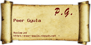 Peer Gyula névjegykártya